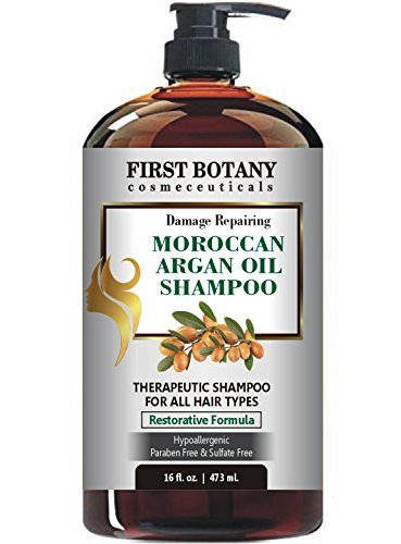 Product Cover Moroccan Argan Oil Shampoo with Restorative Formula 16 fl. oz. Gentle & Sulfate Free for All Hair Types. Cleanses, Revives, Hydrates, Detangles Hair & Revitalizes the Scalp & Split-Ends