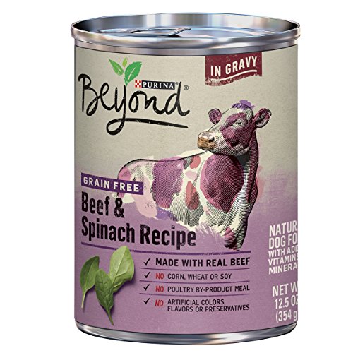 Product Cover Purina Beyond Grain Free, Natural Gravy Wet Dog Food, Grain Free Beef & Spinach Recipe - (12) 12.5 oz. Cans