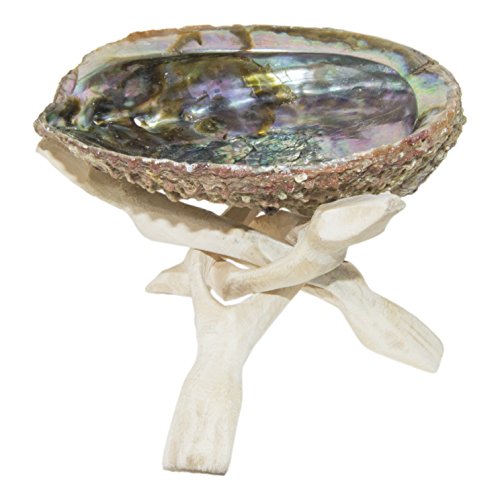 Product Cover SciencePurchase Abalone Shell & Wooden Tripod for Incense Burning & Smudging 78ABSTRI, 6