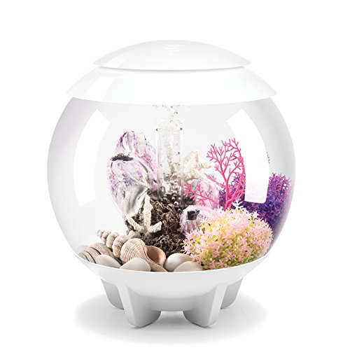 Product Cover biOrb HALO 15 Aquarium with MCR Lighting - 4 gallon, White