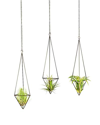 Product Cover Mkono 3 Pack Hanging Air Plant Holder Himmeli for Tillandsia Display Gemometric Planter with Chains Home Decor for Airplants, Bronze