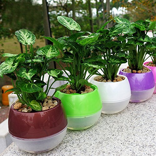 Product Cover Mkono 3 Pack Self Watering Planter Plastic Flower Pot 5 Inch (Mixed Colors)