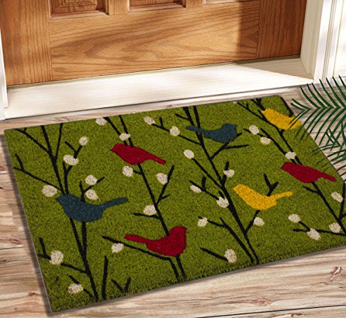 Product Cover Saral Home Heavy Duty Printed Coir Mat -40x60 cm (Green)