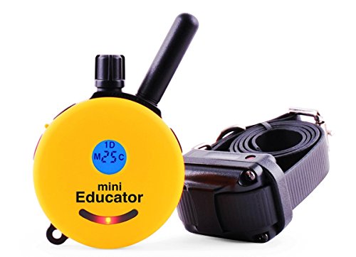 Product Cover Mini Educator ET-300 Dog Training e Collar - Educator Remote Trainer System - Waterproof - Vibration Tapping Sensation with eOutletDeals Value Bundle