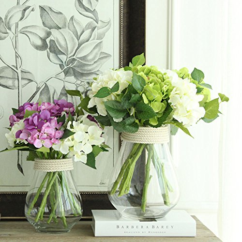 Product Cover Noah Decoration Hand-Blown and Handmade Hemp Clear Glass Transparent Flower and Filler Vase for Home and Wedding Indoor and Outdoor Decoration Size Medium