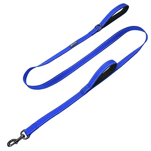 Product Cover Max and NeoTM Double Handle Traffic Dog Leash Reflective - We Donate a Leash to a Dog Rescue for Every Leash Sold (Blue)