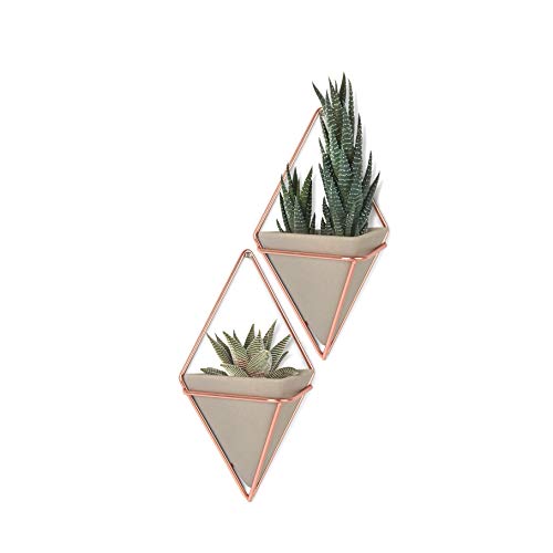 Product Cover Umbra Trigg Hanging Planter Wall Decor Set, for Displaying Small Plants, Pens and Pencils, Makeup Accessories and More, Set of 2, Concrete/Copper