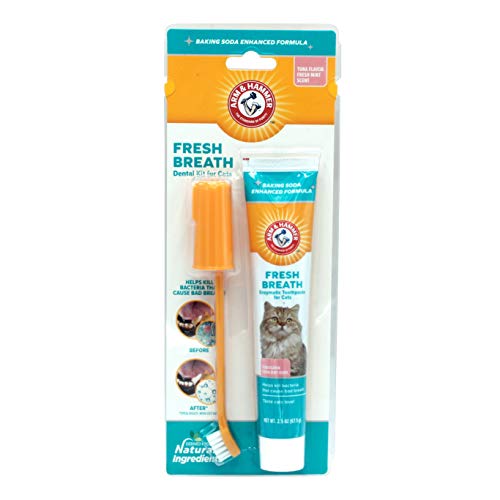 Product Cover Arm & Hammer Cat Dental Care Dental Kit for Cats | Eliminates Bad Breath | 3 Piece Set Includes Toothpaste, Toothbrush & Fingerbrush, Tuna Flavor
