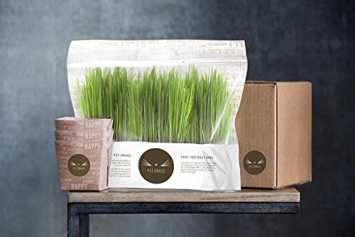 Product Cover Pet Grass by Pet Greens - 100% Certified Organic Fresh Cat Grass Delivery Comes in an Already Grown 3-Pack, Delivered Fresh to Your Door! Sourced and Grown in The USA.