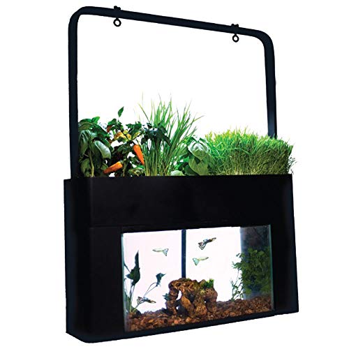 Product Cover AquaSprouts Garden