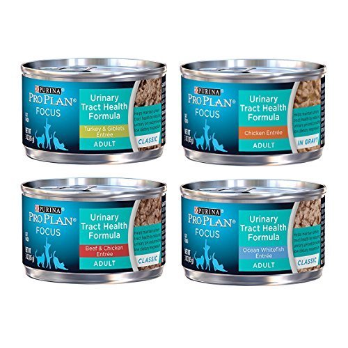 Product Cover Purina Pro Plan Focus Wet Cat Food Urinary Tract Health (UTH) Variety Pack, 4 Flavors, 3-Ounce Cans (12 Total Cans)