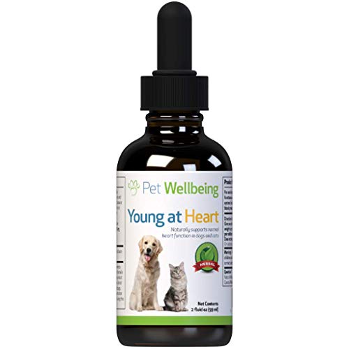 Product Cover Pet Wellbeing Young at Heart for Dogs - Natural Support for Your Dogs Heart (2oz (59ml))