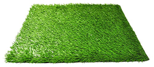 Product Cover Pet Dog Pee Turf Replacement for Bathroom Relief System, Weather Proof, Synthetic Grass, Housebreaking, Portable, Easy Clean, Non-Toxic, Perfect for Indoor and Outdoor (20 x 30 Inch)