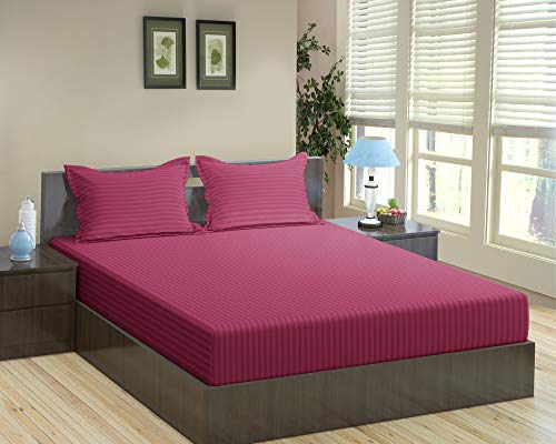 Product Cover Trance Home Linen Cotton 210 Tc King Fitted Bedsheet with 2 Pillow Covers (Rose Pink, 78x72-inch)