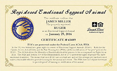 Product Cover WORKINGSERVICEDOG.COM Official Emotional Support Animal ESA Certificate - Customized with You and Your Pets Information and Certificate Date. Free Duplicate Copy of Your ESA Certificate