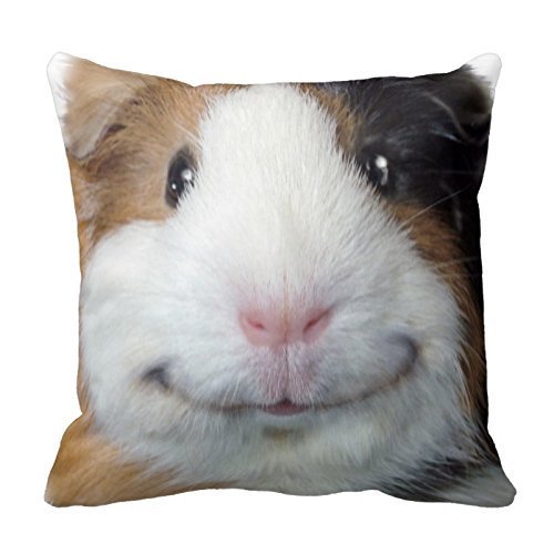 Product Cover JuMei Smiling Guinea Pig Cotton Square Throw Pillow Case Cushion Cover 18 x 18