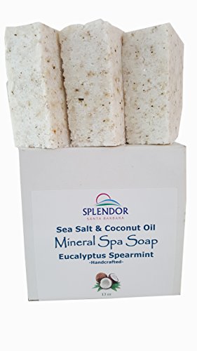 Product Cover Sea Salt & Coconut Oil Mineral Spa Soap 13 oz(3/4.3 oz) bars Eucalyptus Spearmint. Handmade, Moisturizing, Natural Organic Spearmint and Therapeutic Grade Essential Oil