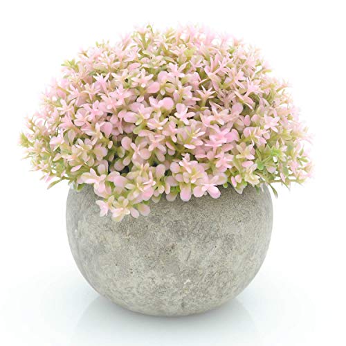 Product Cover Velener Mini Plastic Artificial Pine Ball Topiary Plant with Pots for Home Decor (Pink Clover)