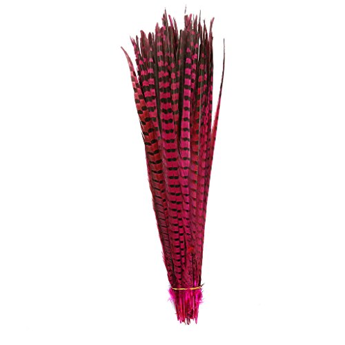 Product Cover Pheasant Tails Feathers,Hgshow 10Pcs Plume Products Assorted Natural Feathers,About 20-22 inches,50-55cm Long