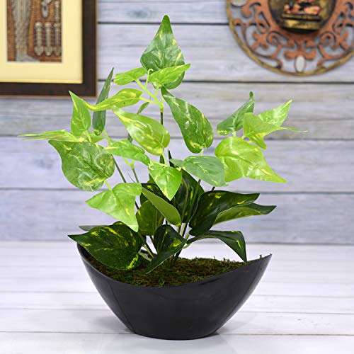 Product Cover Fancy Mart Artificial Green Leaves Plant with Boat Shape PVC Black Pot