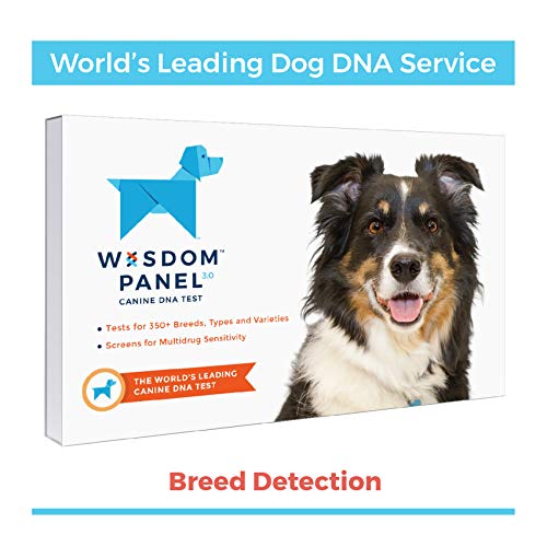 Product Cover Wisdom Panel 3.0 Canine DNA Test - Dog DNA Test Kit for Breed and Ancestry Information
