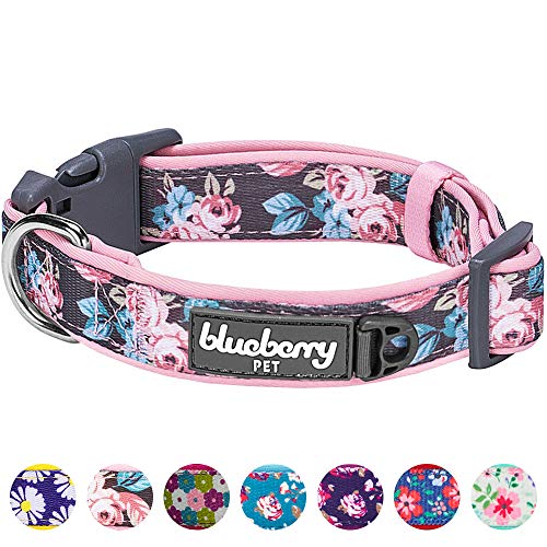 Product Cover Blueberry Pet 7 Patterns Soft & Comfy Rose Flower Prints Girly Padded Adjustable Dog Collar, Large, Neck 18