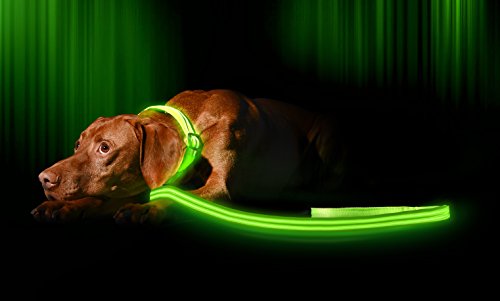 Product Cover Illumiseen LED Dog Leash - USB Rechargeable - Your Dog Will Be More Visible & Safe - 6 Colors (Red, Blue, Green, Pink, Orange & Yellow) - Perfect to Use with Our Matching Collar (6 Feet, Green)