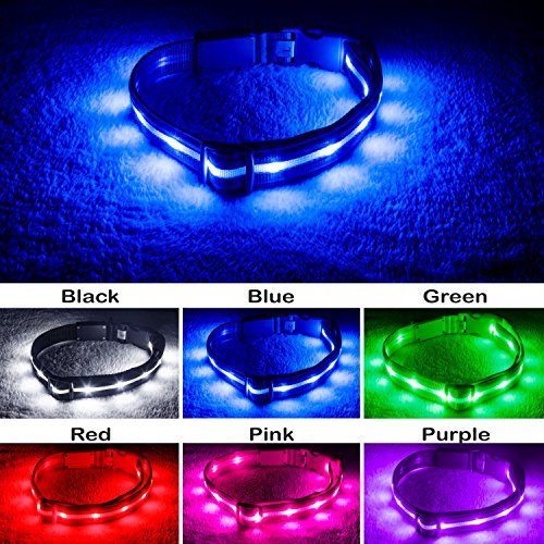 Product Cover Blazin' Safety LED Dog Collar - USB Rechargeable with Water Resistant Flashing Light, Medium, Blue