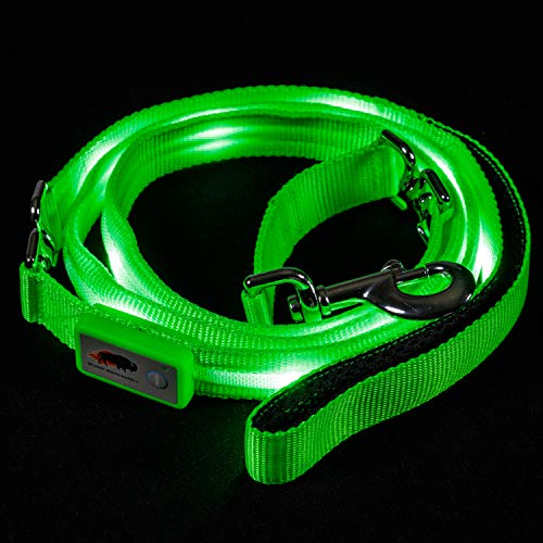 Product Cover Blazin' Safety LED Dog Leash - USB Rechargeable Flashing Light, 6 Ft, Water Resistant - Avoid Danger - Green