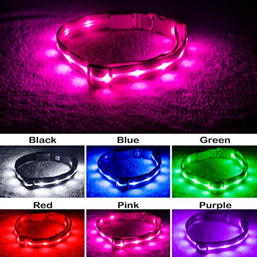 Product Cover Blazin' Safety LED Dog Collar - USB Rechargeable with Water Resistant Flashing Light - Small Pink