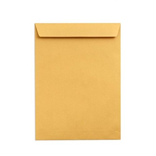Product Cover ESI Laminated Envelopes (14x10-inches) - Pack of 50