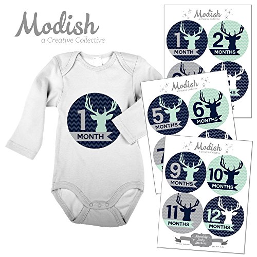 Product Cover Modish Labels, 12 Monthly Baby Stickers, Baby Boy, Woodland, Deer, Antlers, Chevron, Mint, Navy Blue, Gray, Grey, Baby Month Stickers, Baby Book Keepsake, Photo Prop, Baby Shower Gift