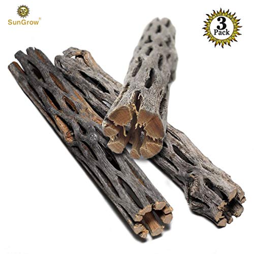 Product Cover SunGrow Natural Cholla Wood - 3 Pieces, 5 inches Long - Aquarium Decoration & Chew Toys for small pets - Artistic Home-Decor - 100% Natural & pet safe - Fertilizer Free - Long Lasting Driftwood
