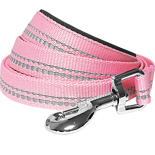 Product Cover Blueberry Pet 2 Colors 3M Reflective Pastel Color Dog Leash with Soft & Comfortable Handle, 5 ft x 3/4