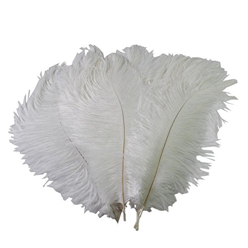 Product Cover Special Sale Genuine OSTRICH Feathers Wholesale Bulk 10-14