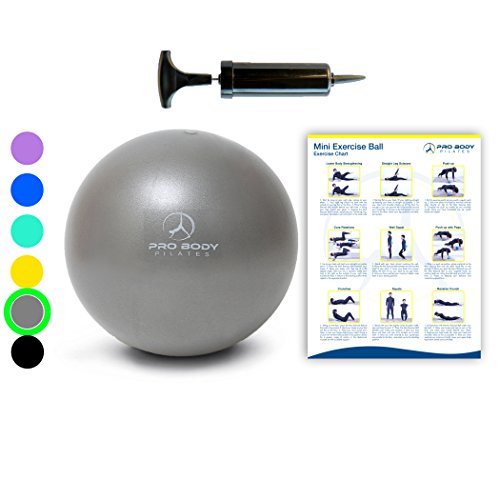Product Cover Mini Exercise Ball with Pump - 9 Inch Bender Ball for Stability, Barre, Pilates, Yoga, Core Training and Physical Therapy (Silver)