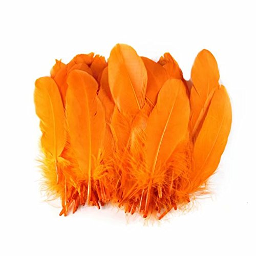 Product Cover Celine lin 100PCS Dyed Home Decor Goose Feather For DIY Art,Home Party or Wedding 6-8inch,Orange
