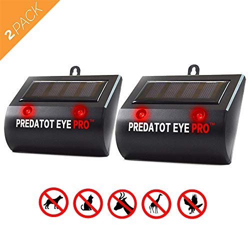 Product Cover Aspectek Solar Powered Predator Eye Pro Night Wild Animal Repeller 2 Pack (Black 00B)