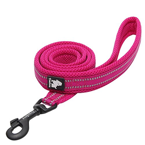Product Cover Chai's Choice Best Padded 3M Reflective Outdoor Adventure Dog Leash. (78