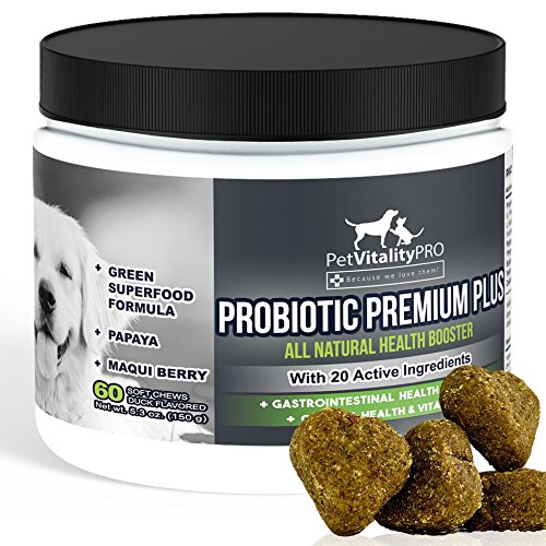 Product Cover PetVitalityPRO Probiotics for Dogs with Natural Digestive Enzymes ● 4 Bill CFUs/2 Soft Chews ● Dog Diarrhea Upset Stomach Yeast Gas Bad Breath Immunity Allergies Skin Itching Hot Spots ● 60 Count