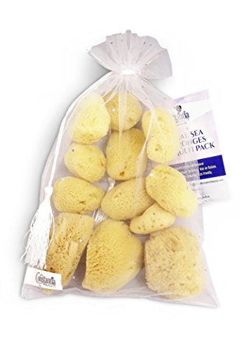 Product Cover Natural Sea Silk Sponges 12pk - For Cosmetic Use, Makeup Application & Removal, Face & Eye Cleaning, 1.5