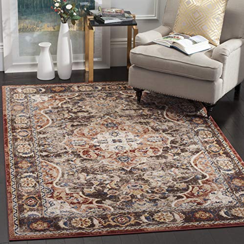 Product Cover Safavieh Bijar Collection BIJ648D Traditional Oriental Vintage Brown and Rust Area Rug (3' x 5')