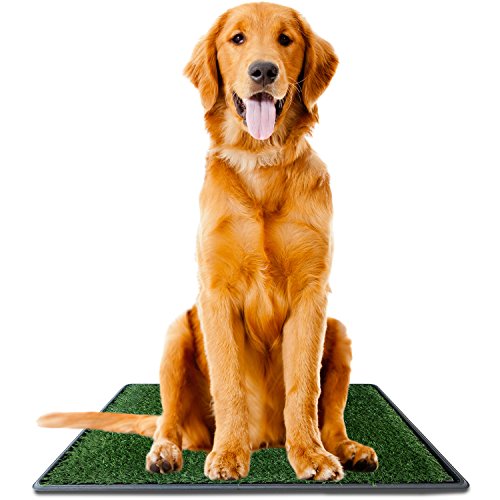 Product Cover Ideas In Life Dog Potty Grass Pee Pad - Large 20