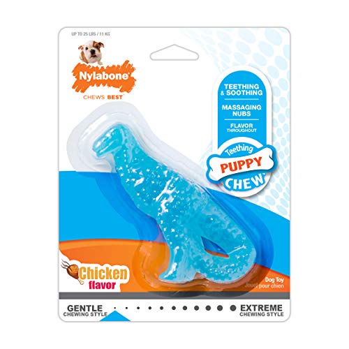 Product Cover Nylabone Dinosaur Dental Chew Toy, for Teething Puppies