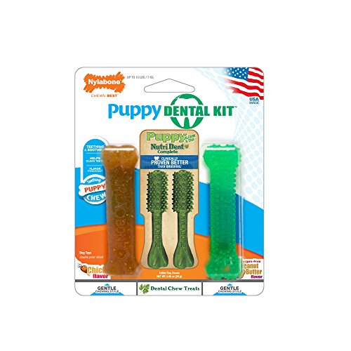 Product Cover Nylabone Dental Kit for Small Puppies