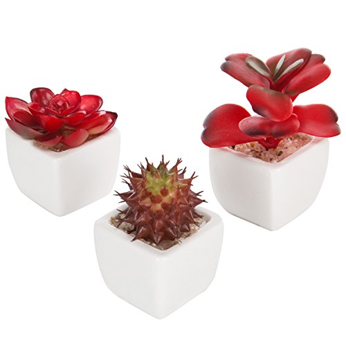Product Cover MyGift Set of 3 Miniature Red Artificial Succulent Plants in White Ceramic Pots