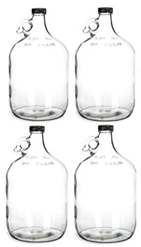 Product Cover Home Brew Ohio 4 Glass Water Bottle, Includes 38 mm Polyseal Cap, 1 gal Capacity (Pack of 4)