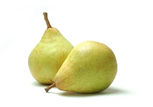 Product Cover Fresh Produce Pears Nakh 500 GMS