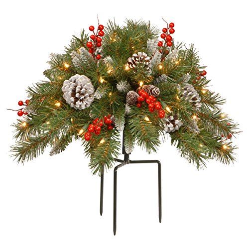 Product Cover National Tree 18 Inch Frosted Berry Urn Filler with Cones, Red Berries, Tripod Stake and 35 Warm White Battery Operated LED Lights with Timer (FRB-300-18U-B)