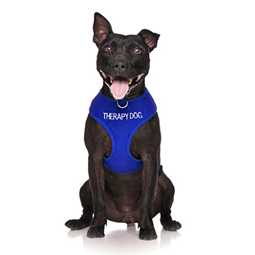 Product Cover Dexil Limited Therapy Dog Blue Color Coded Non-Pull Front and Back D Ring Padded and Waterproof Vest Dog Harness Prevents Accidents by Warning Others of Your Dog in Advance (L)